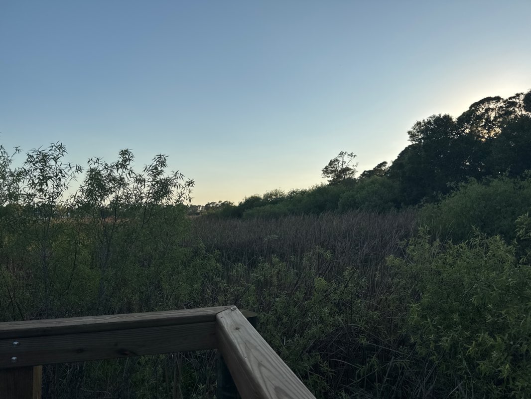 walking near me in Ollie's Pond Park in spring
