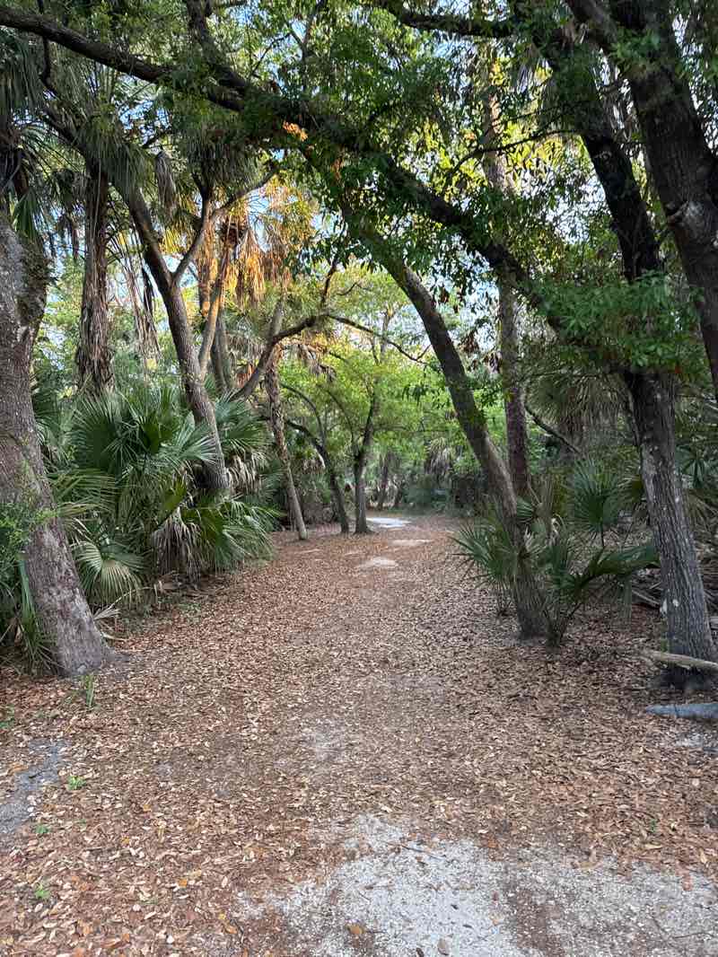 walking near me in Kiwanis Park in spring