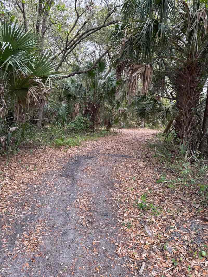 walking near me in Kiwanis Park in spring
