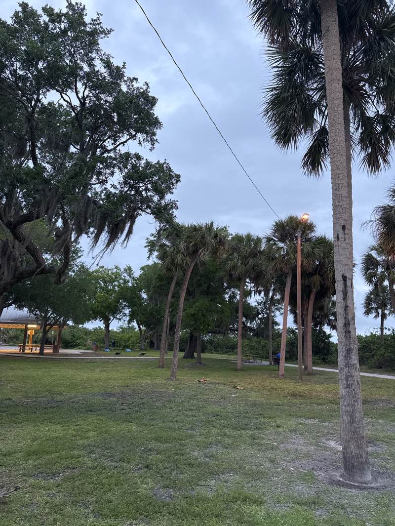 walking near me in Harbour Heights Park in spring