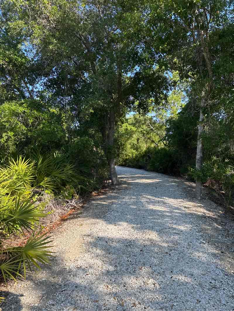 walking near me in Blue Heron Park in spring