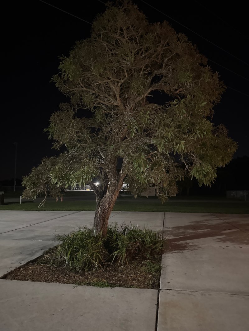 walking near me in South County Regional Park in spring