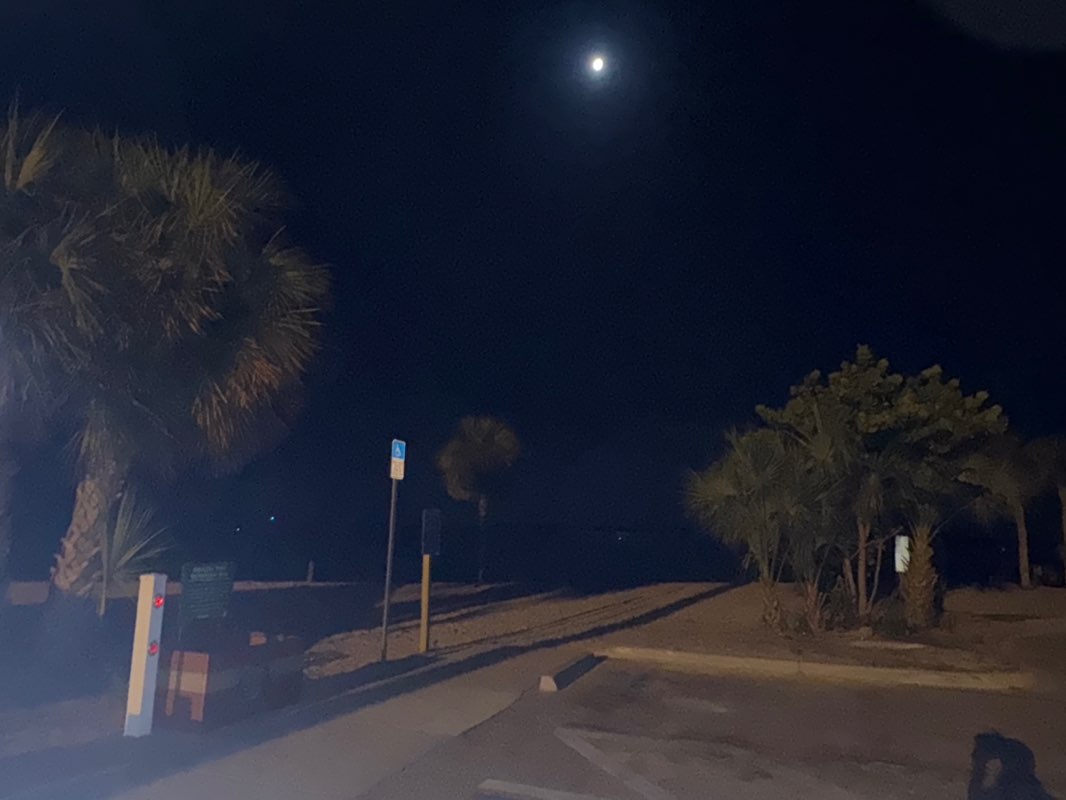 walking near me in Port Charlotte Beach Park in spring