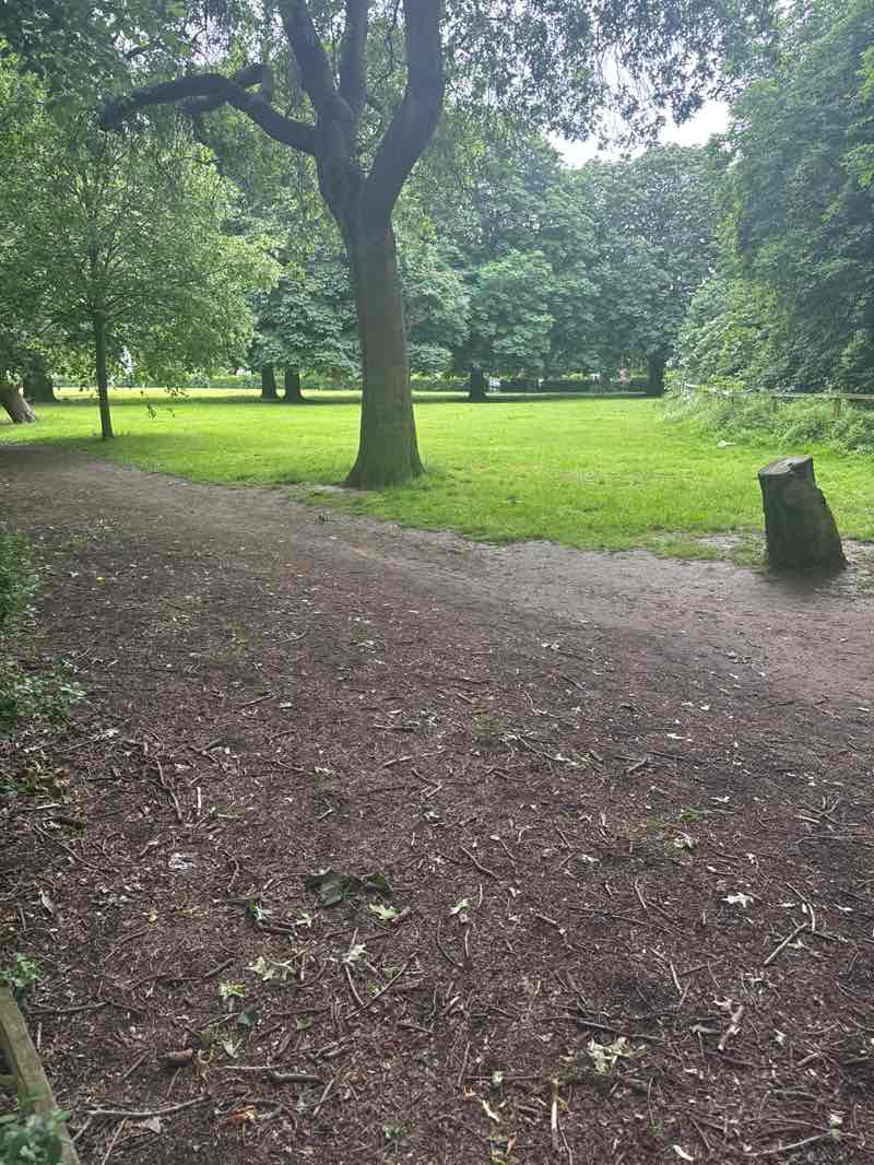 walking near me in Stoke Green in summer