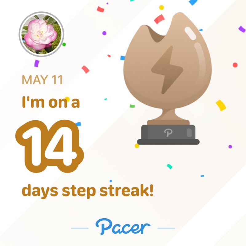 Rebecca post 1