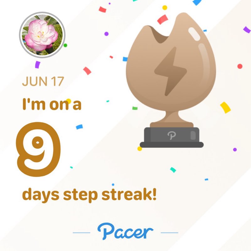 Rebecca post 1