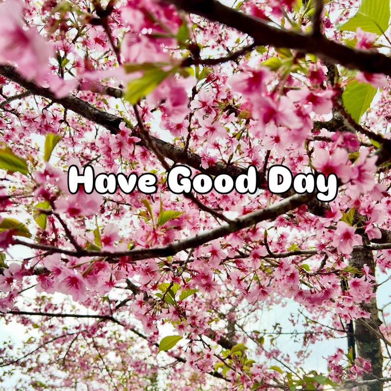 跟著老師動吃動，再酸也要用力 profile