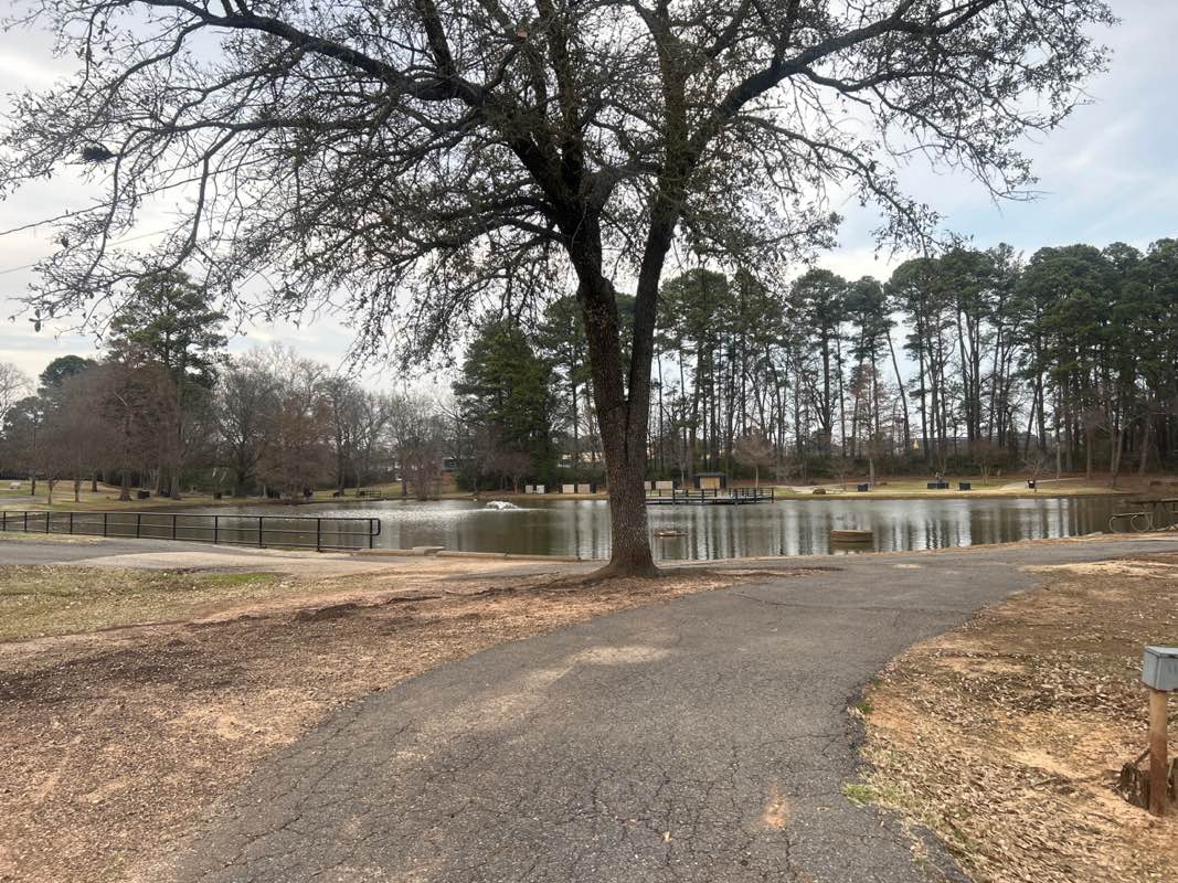 walking near me in Teague Park in winter