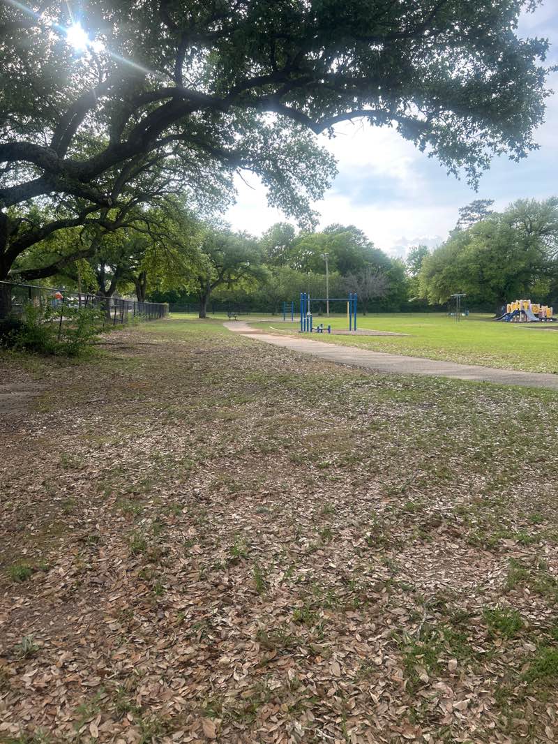 walking near me in South Ward Community Park in spring