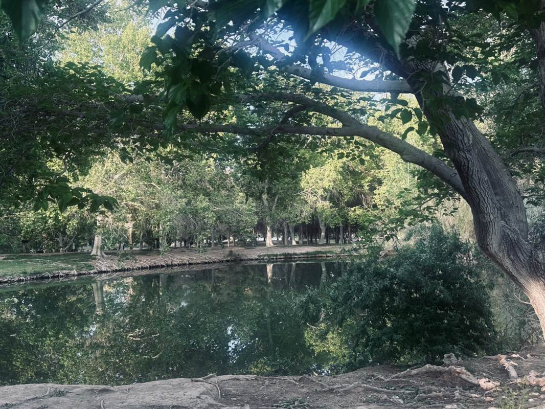 walking near me in Floyd Lamb Park in spring