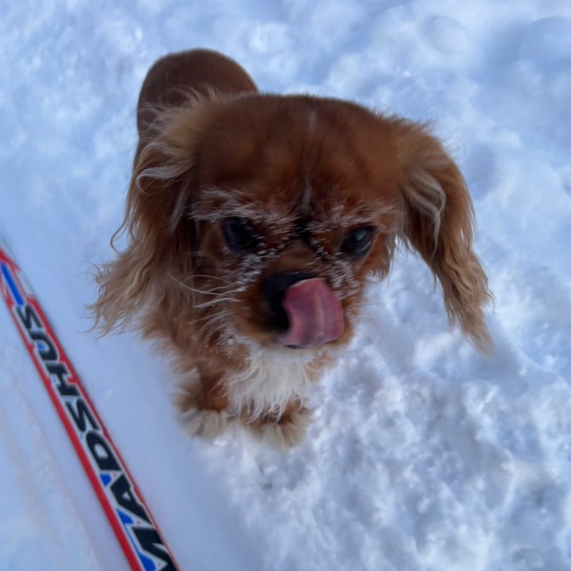 Марина profile