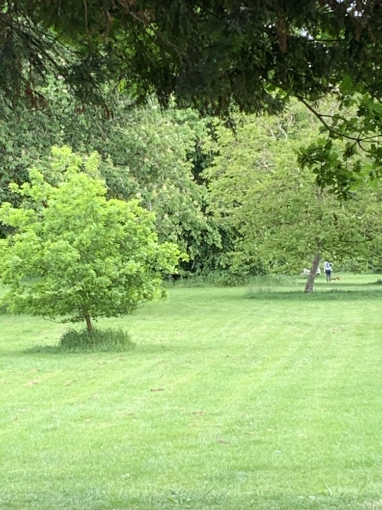 walking near me in Marshalls Park in summer