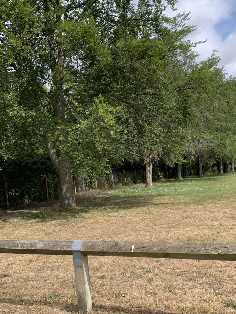 walking near me in Black Notley Playing Field in summer