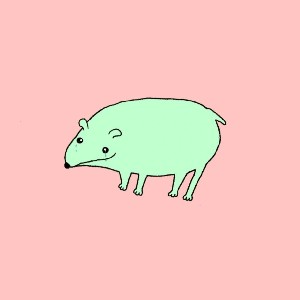 Mlawks icon