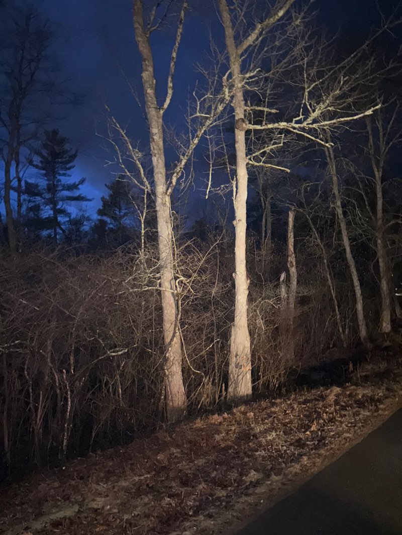 walking near me in Arcadia Bog Conservation Area in spring