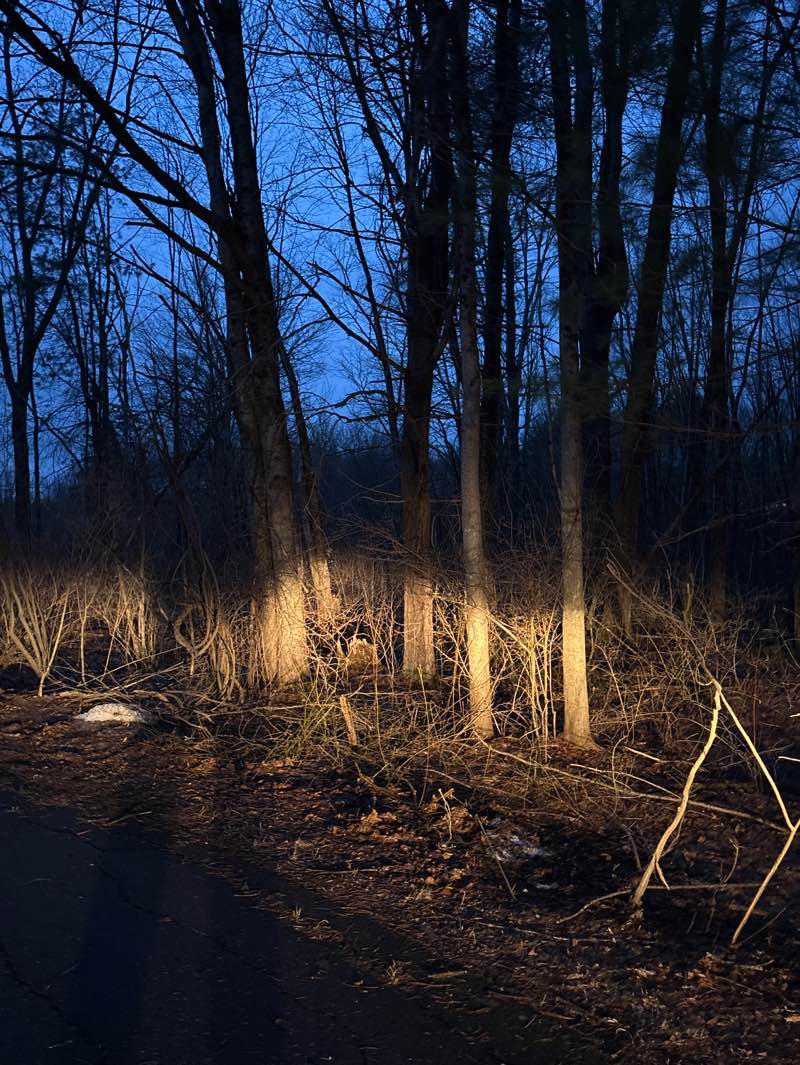 walking near me in Gull Pond Conservation Area in spring