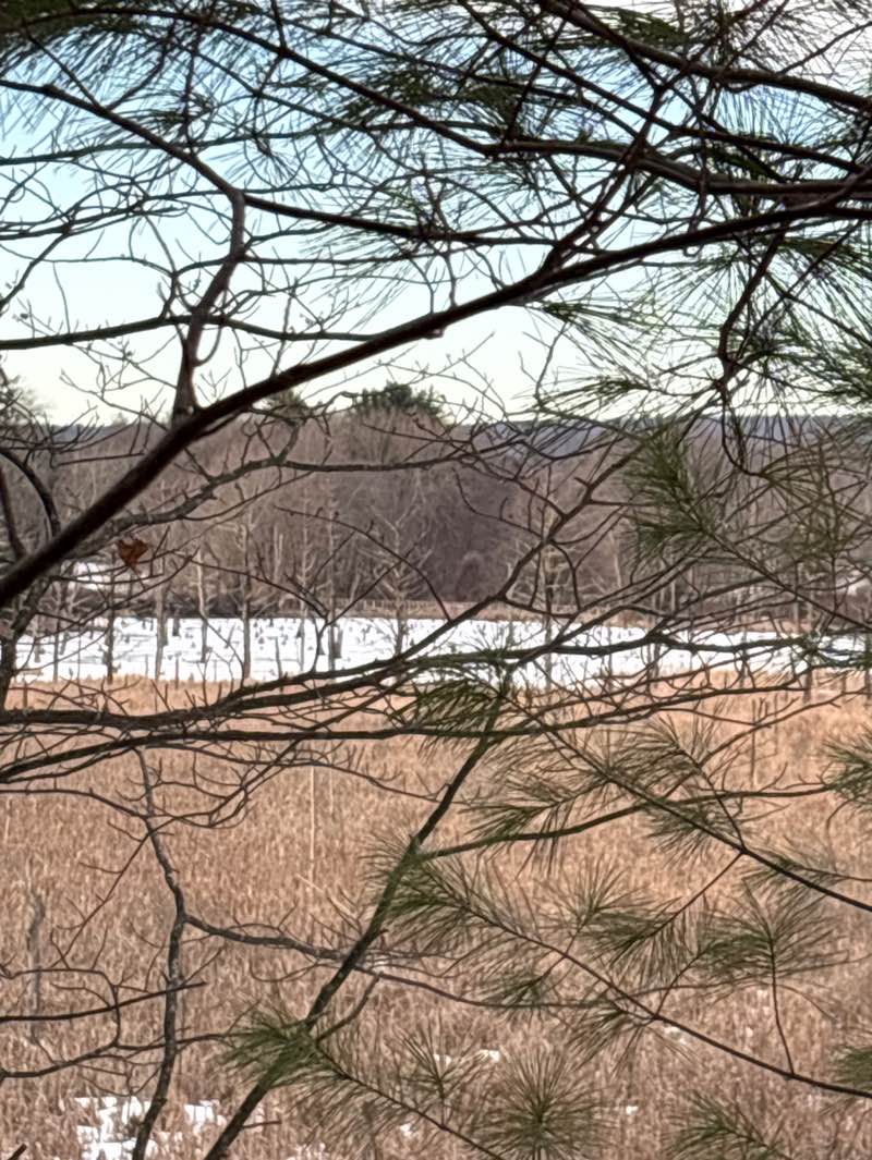 walking near me in Foley Field in spring