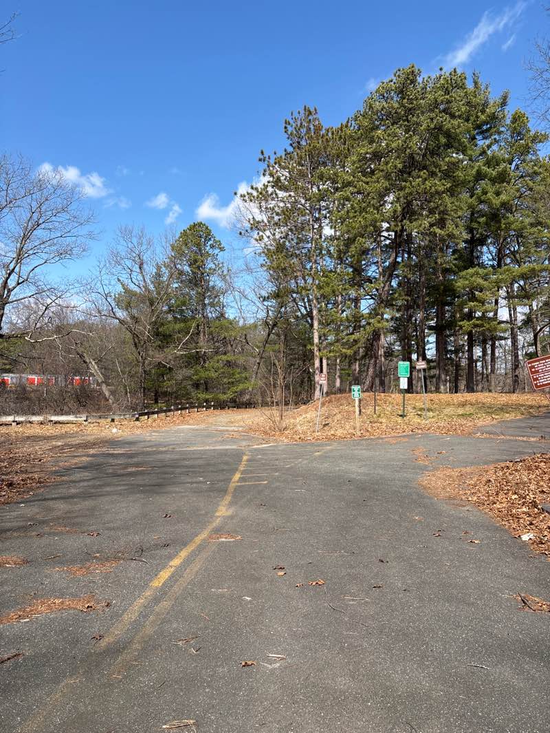 walking near me in Five Mile Pond Park in spring