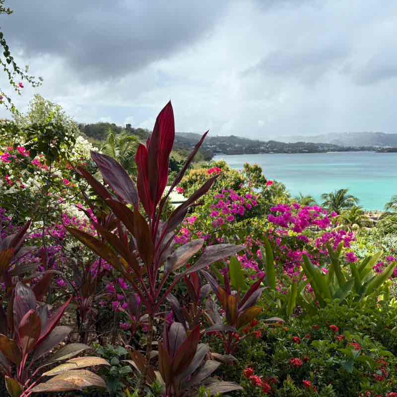 10K A Day earnie.bliss post image