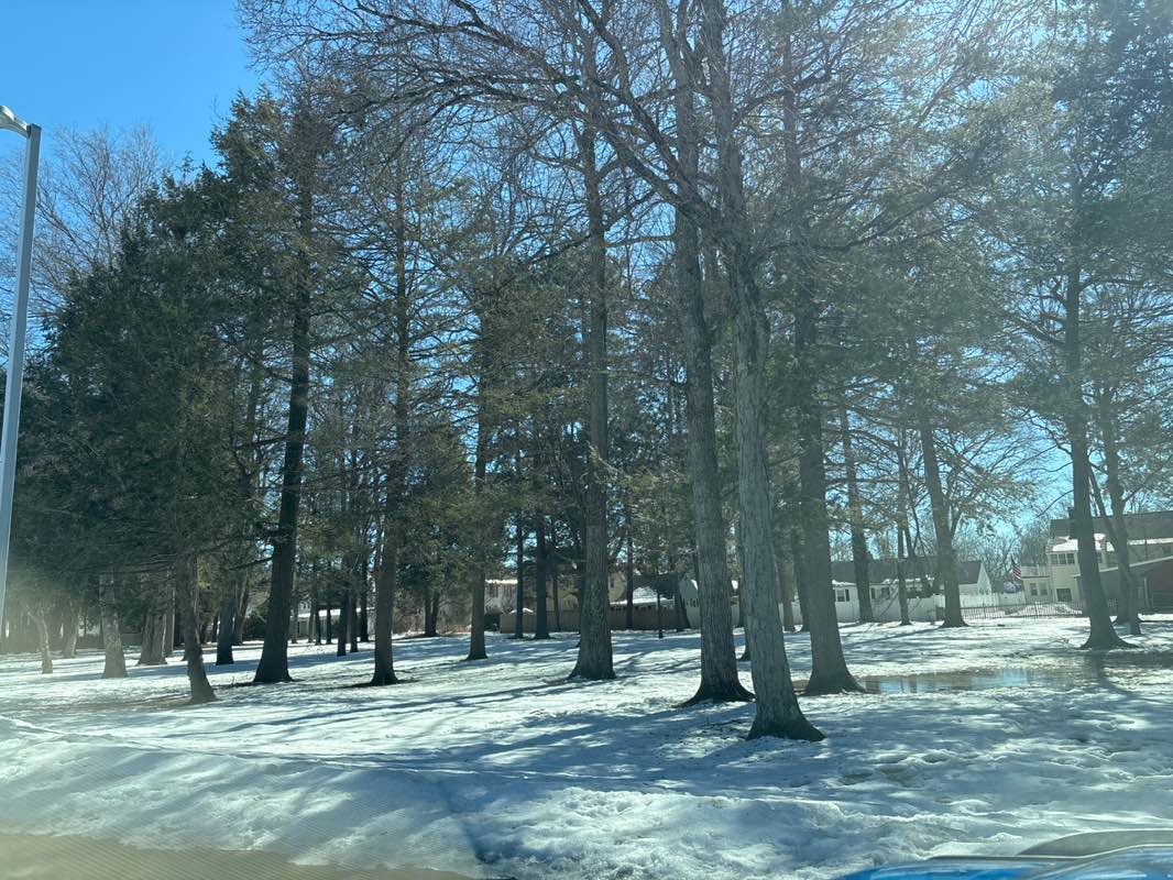 walking near me in Shattuck Park in spring