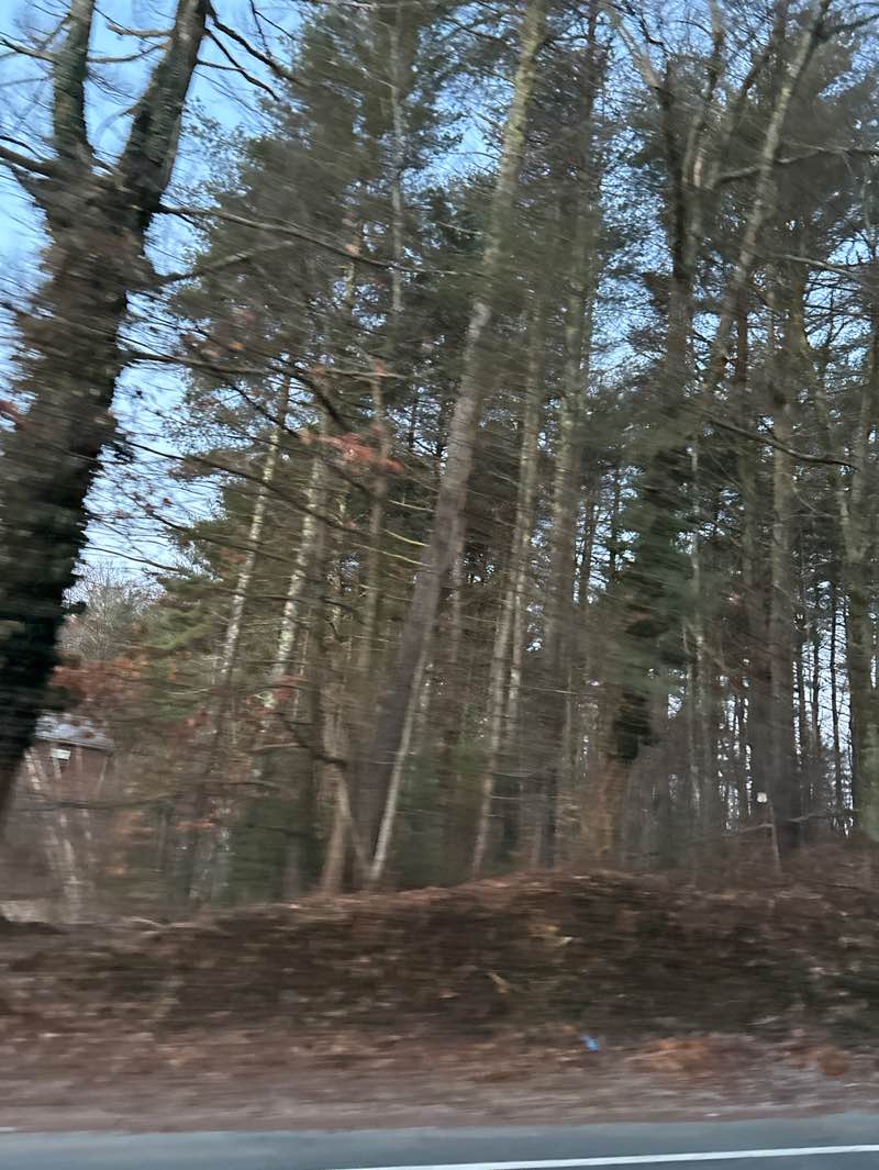 walking near me in Mount Holyoke Range State Park in spring