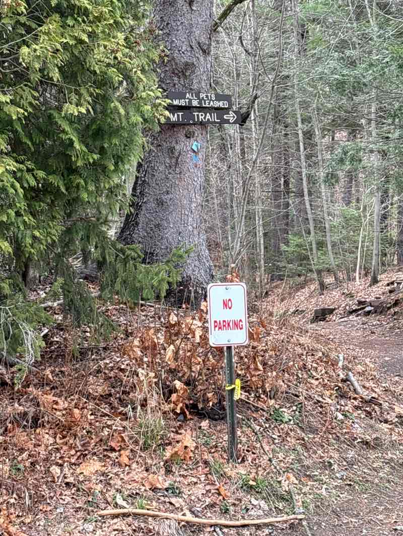 walking near me in Mount Sugarloaf State Reservation in spring