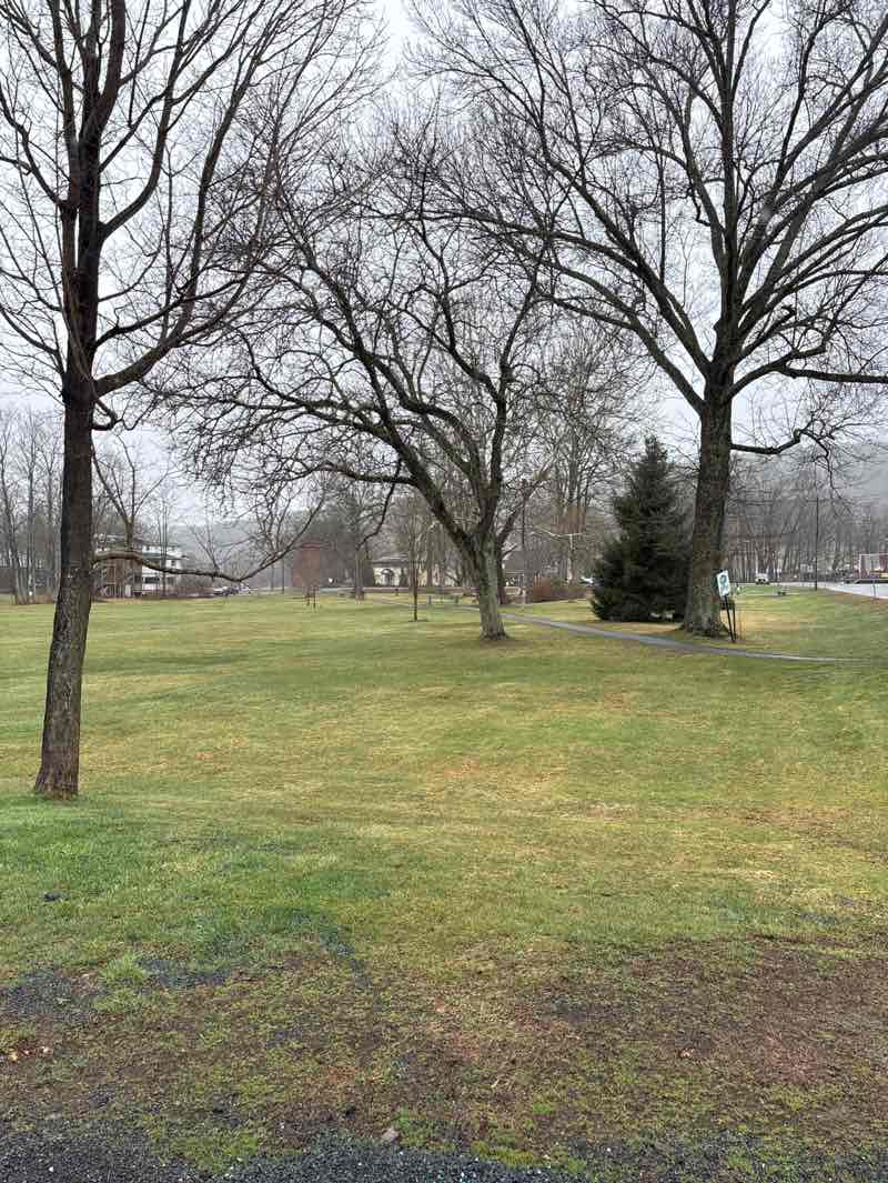 walking near me in Cushman Park in spring
