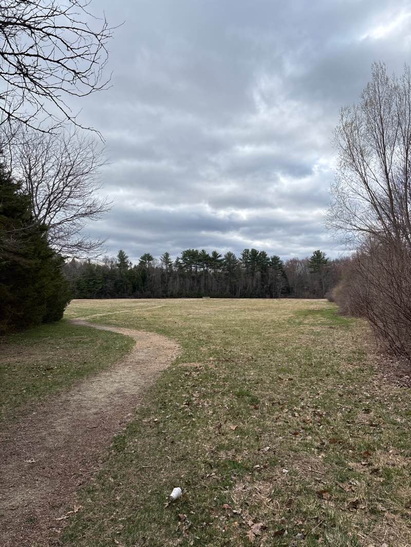 walking near me in The Meadows Conservation Area in spring