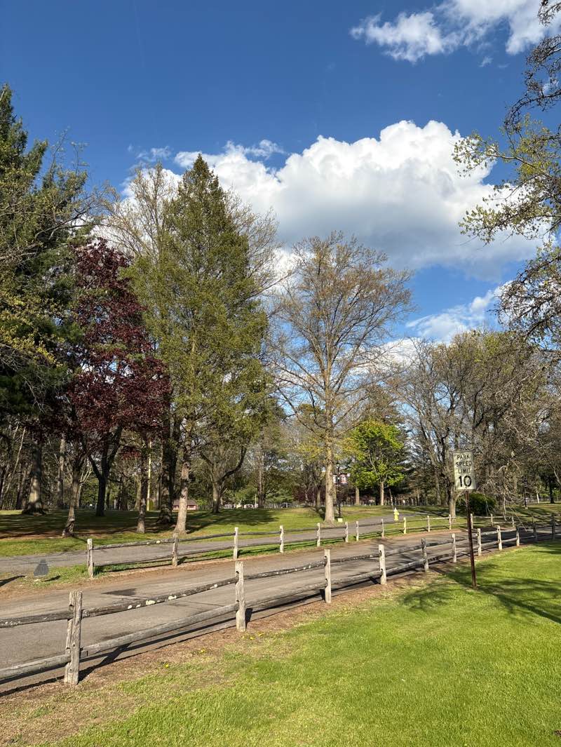walking near me in Cook Park in spring