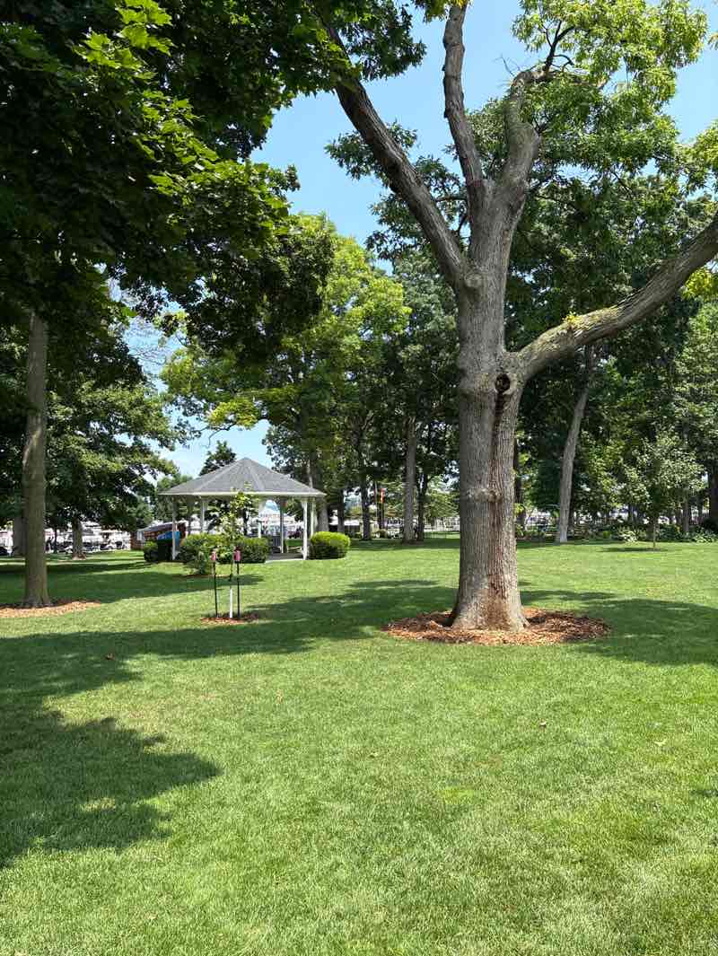 walking near me in DeRivera Park in summer