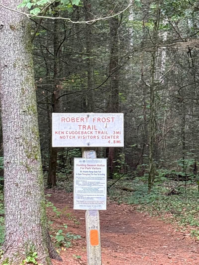 walking near me in Mount Holyoke Range State Park in summer