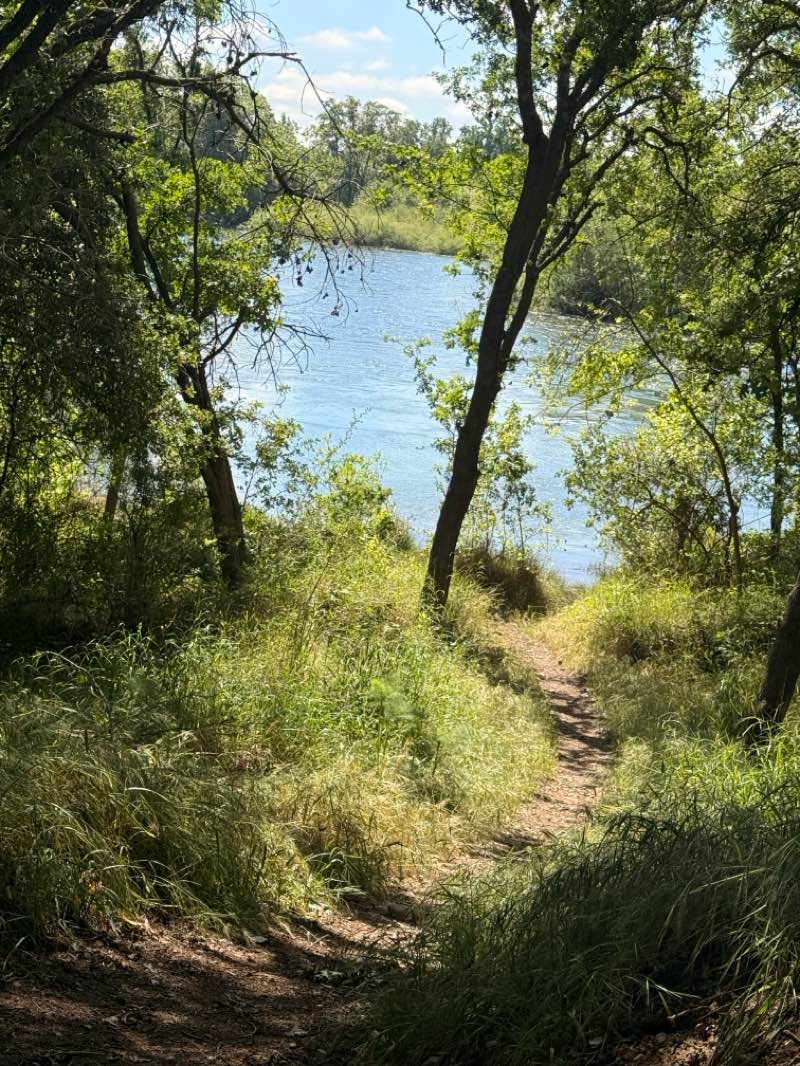 walking near me in Ancil Hoffman Park in spring