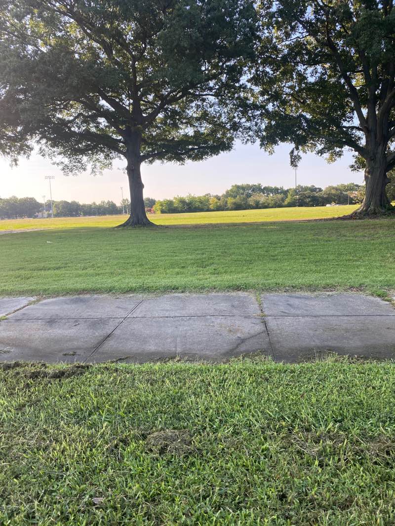 walking near me in Hunt Mapp Athletic Fields in summer