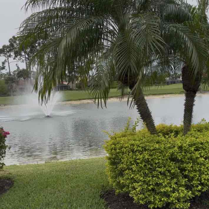 MEIDS Step Challenge Siobhan post image