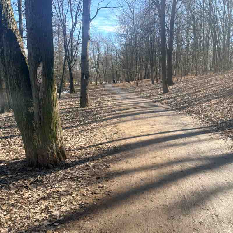 Movement is life IV post image