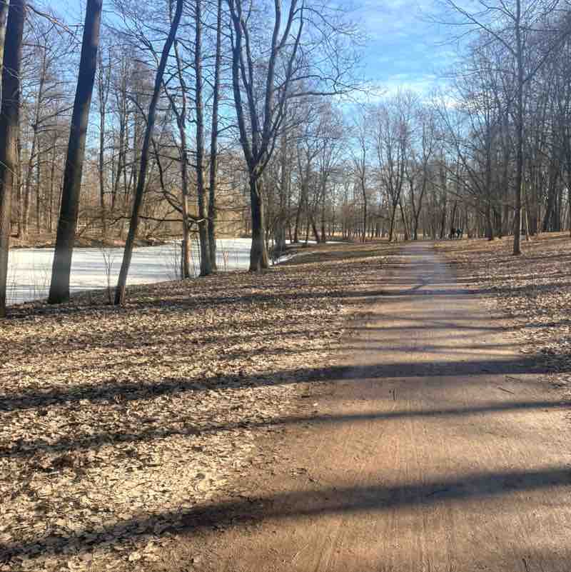 Movement is life IV post image