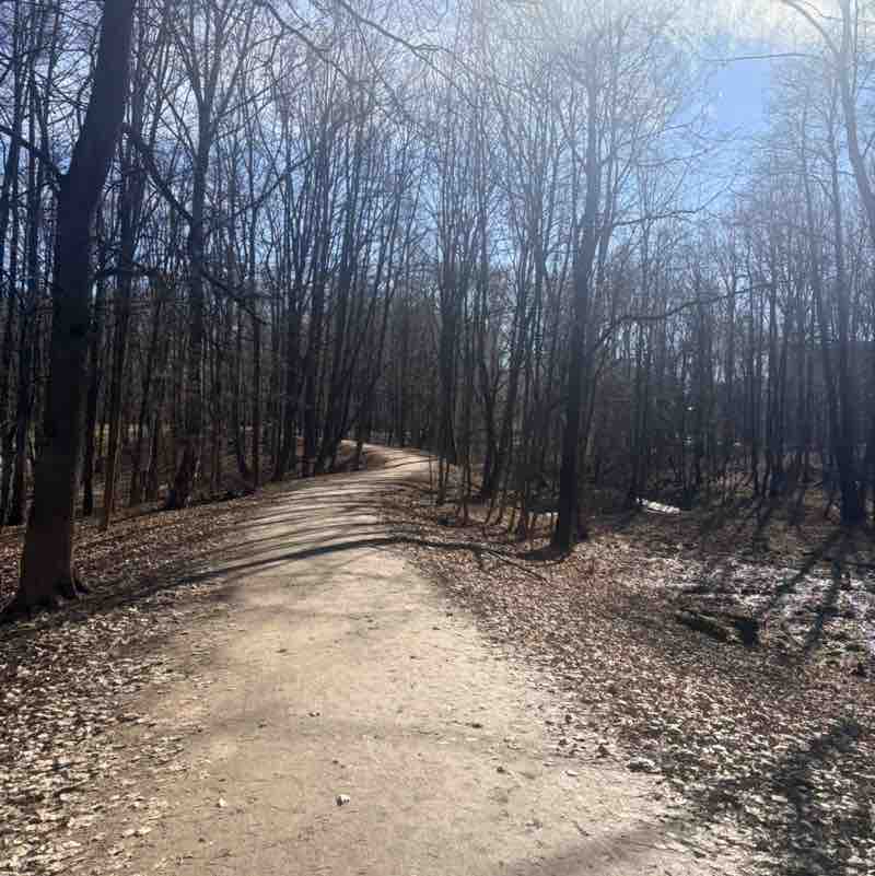 Movement is life IV post image