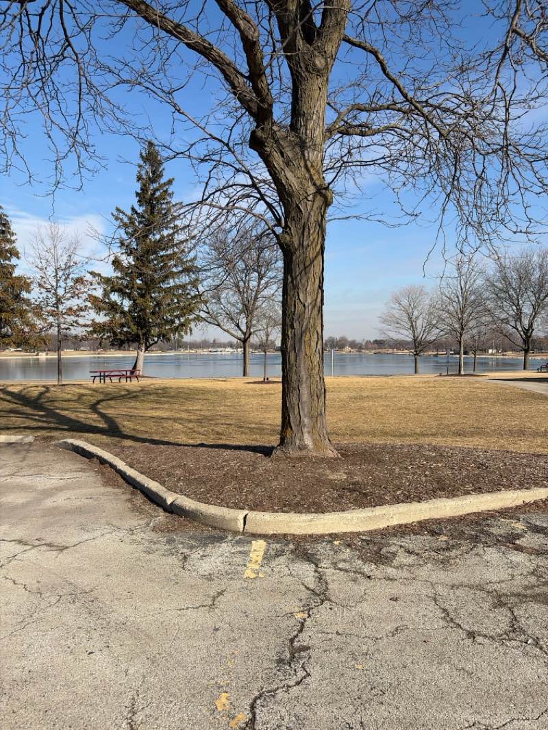 walking near me in Lake Park in winter