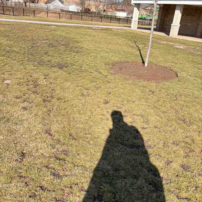 Timmy! 🇮🇪 post 1