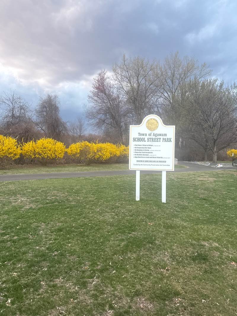 walking near me in School Street / River Road Park in spring