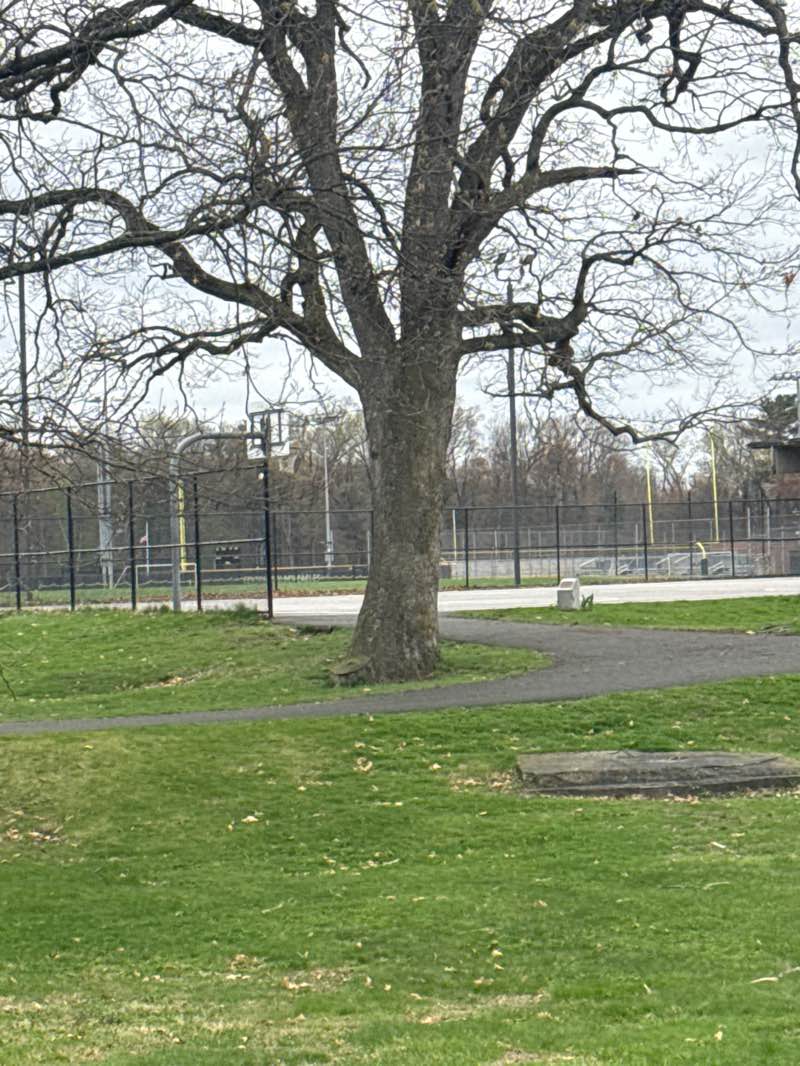 walking near me in Blunt Park in spring
