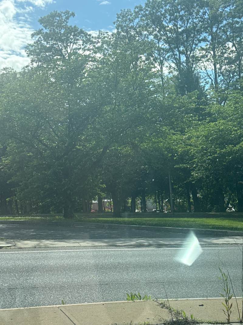 walking near me in Lincoln Grove Park in summer