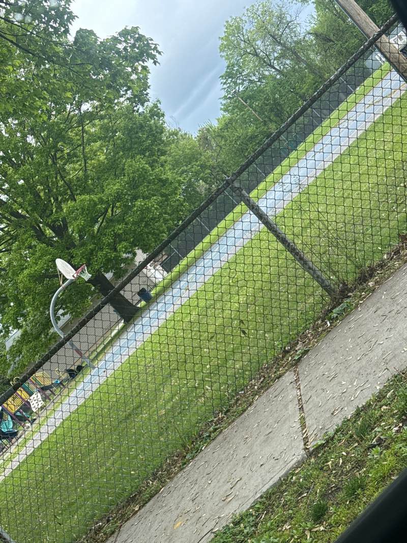 walking near me in Alice Carson Playground in spring