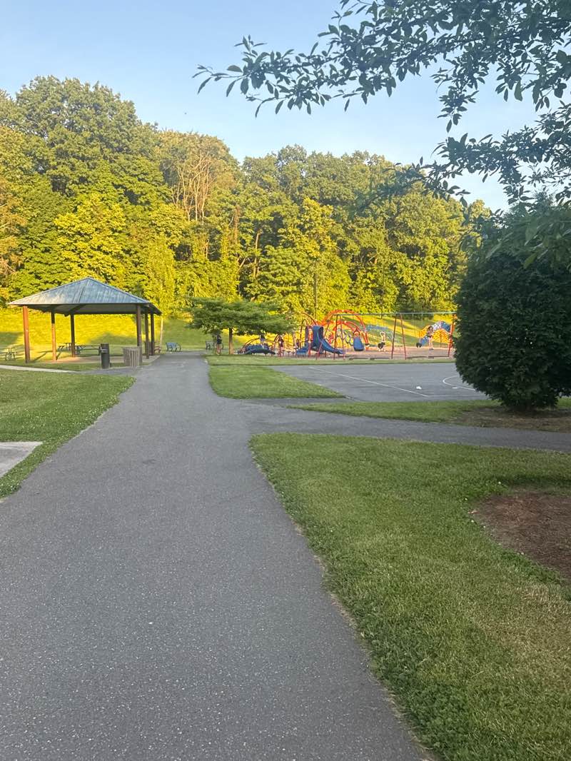 walking near me in Emerson Wight Park in summer
