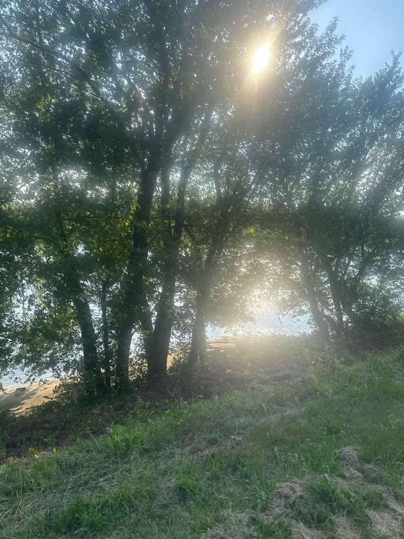 walking near me in Garrity Grove Park in summer