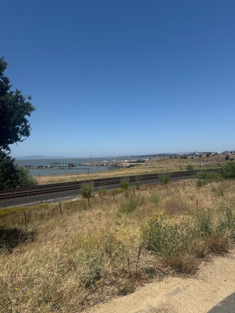 walking near me in Shoreline Park in summer