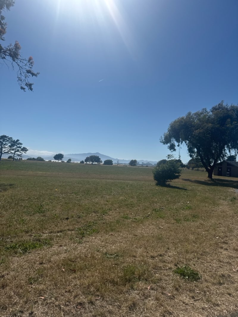 walking near me in Miller/Knox Regional Shoreline in summer