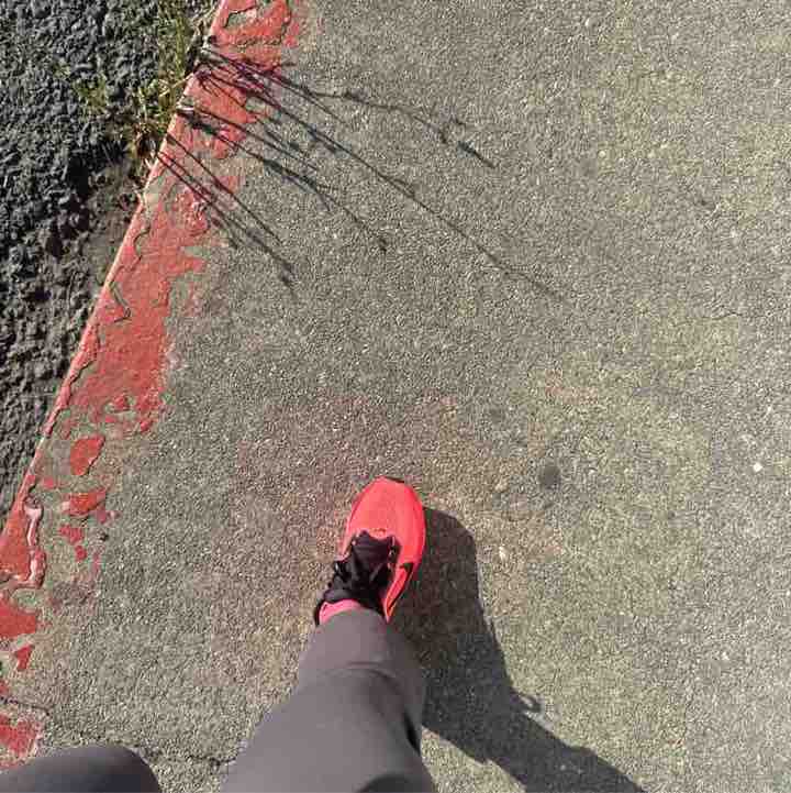 Fun Run 🏃‍♂️ Dano post image