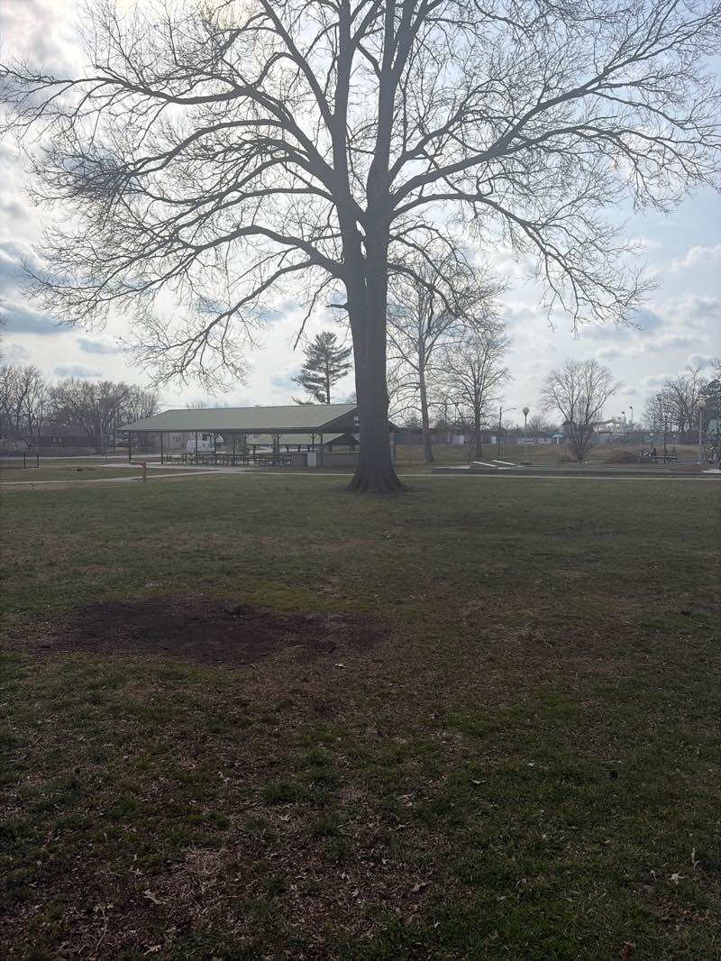 walking near me in Ray Fosse Park in spring