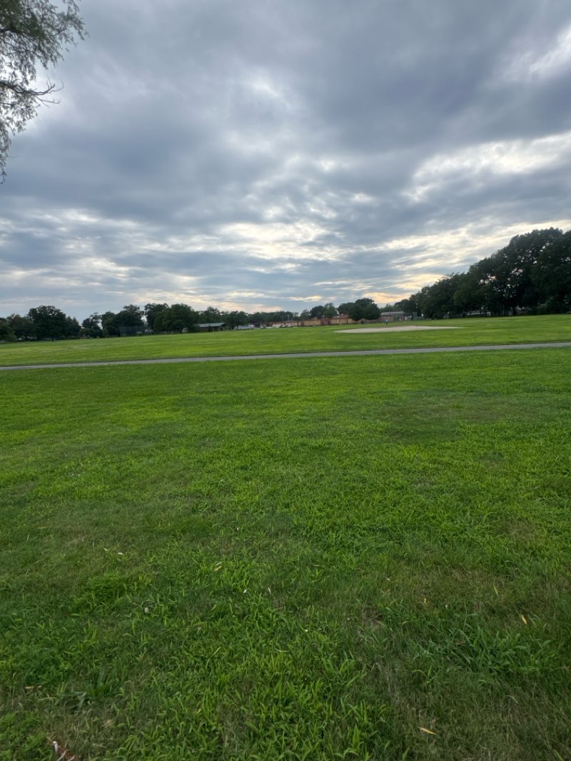 walking near me in Marshall Roy Park in summer